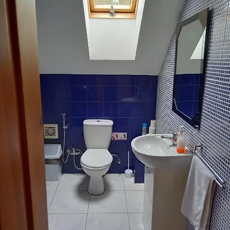 Lesnoj Guest house *