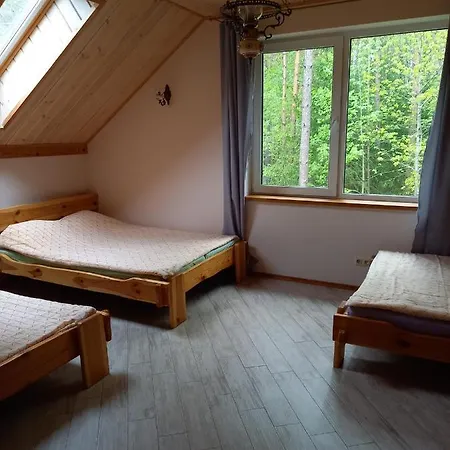 Lesnoj Guest house